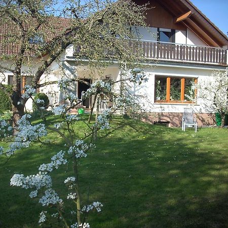 Ferienwohnung Lahntal/Taunus Huttenberg Экстерьер фото
