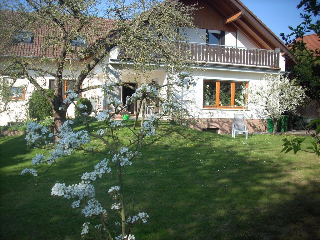 Ferienwohnung Lahntal/Taunus Huttenberg Экстерьер фото