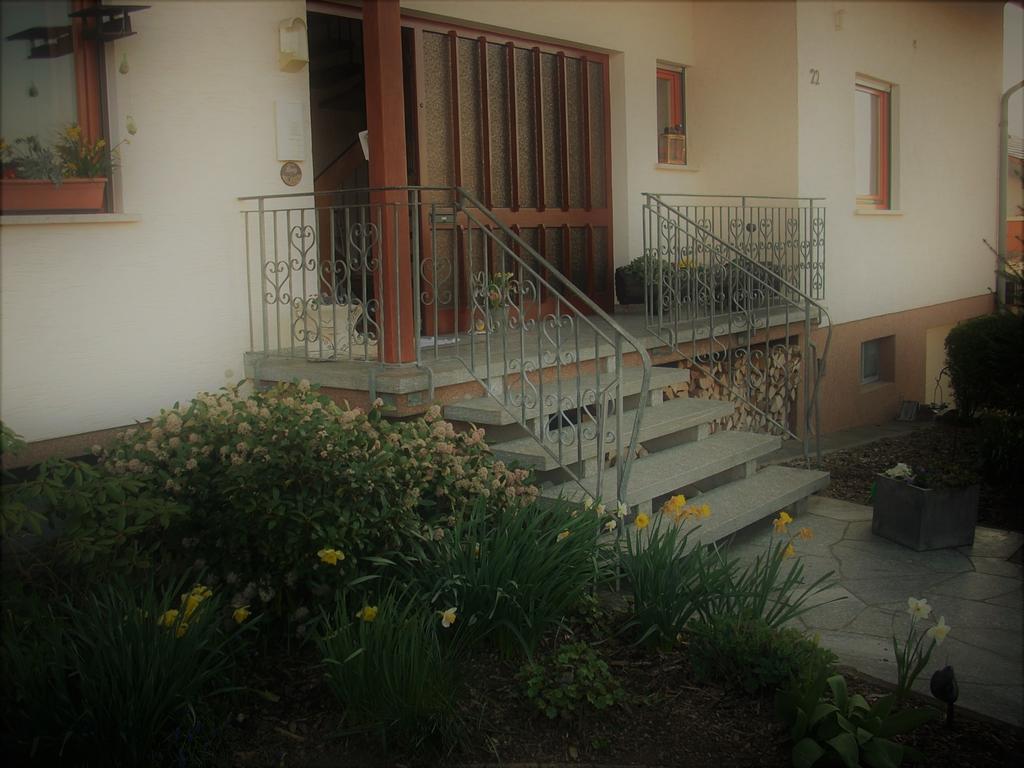 Ferienwohnung Lahntal/Taunus Huttenberg Экстерьер фото