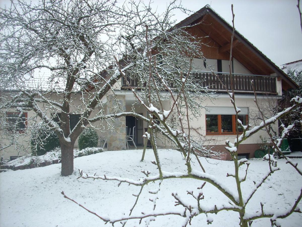 Ferienwohnung Lahntal/Taunus Huttenberg Экстерьер фото